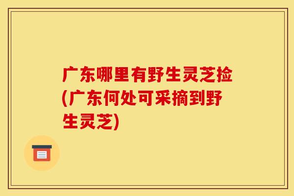 广东哪里有野生灵芝捡(广东何处可采摘到野生灵芝)