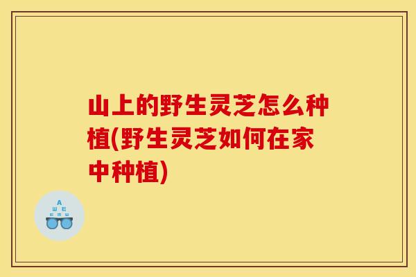 山上的野生灵芝怎么种植(野生灵芝如何在家中种植)