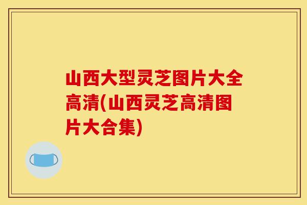 山西大型灵芝图片大全高清(山西灵芝高清图片大合集)