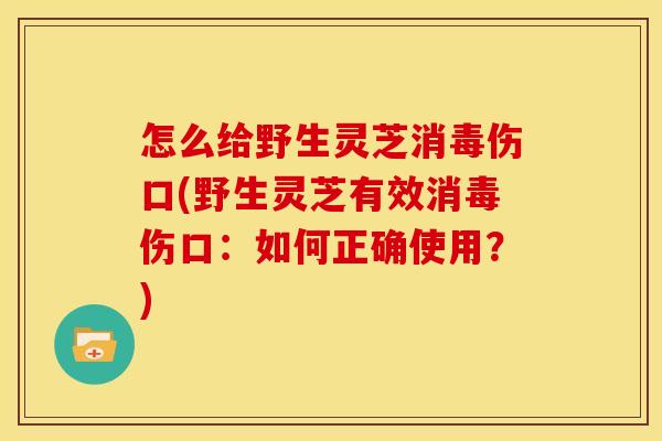 怎么给野生灵芝消毒伤口(野生灵芝有效消毒伤口:如何正确使用?)