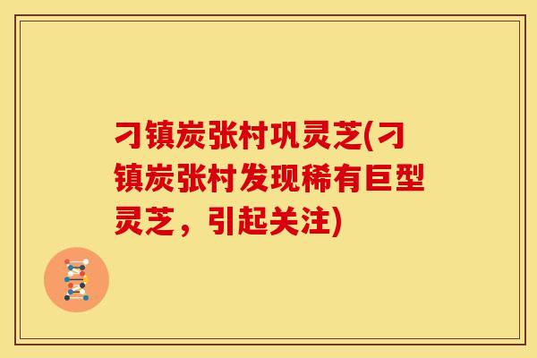 刁镇炭张村巩灵芝(刁镇炭张村发现稀有巨型灵芝,引起关注)