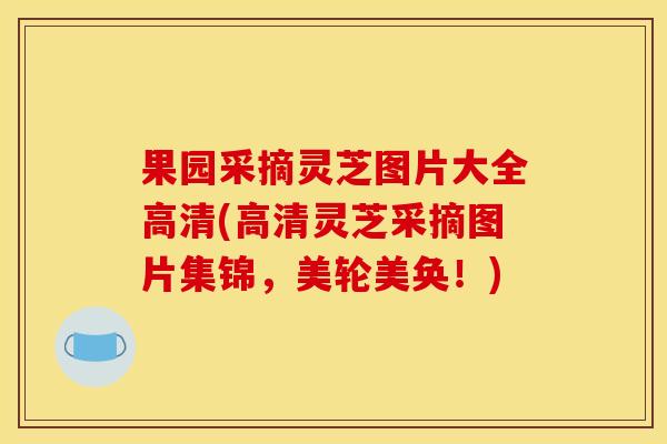 果园采摘灵芝图片大全高清(高清灵芝采摘图片集锦,美轮美奂!)