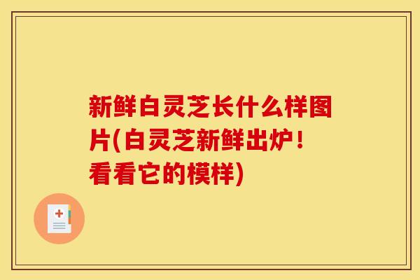 新鲜白灵芝长什么样图片(白灵芝新鲜出炉!看看它的模样)