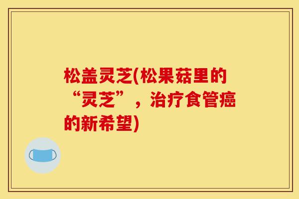 松盖灵芝(松果菇里的“灵芝”,治疗食管癌的新希望)