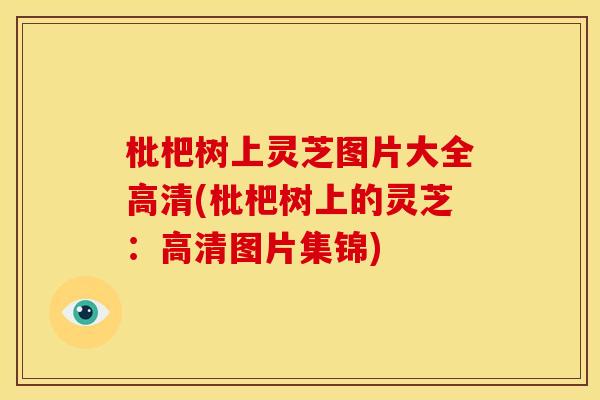 枇杷树上灵芝图片大全高清(枇杷树上的灵芝：高清图片集锦)