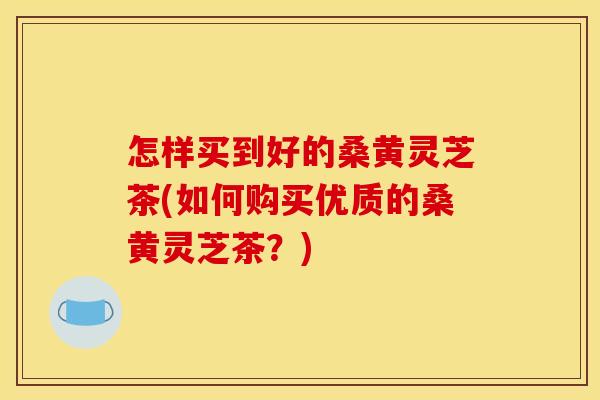 怎样买到好的桑黄灵芝茶(如何购买优质的桑黄灵芝茶？)