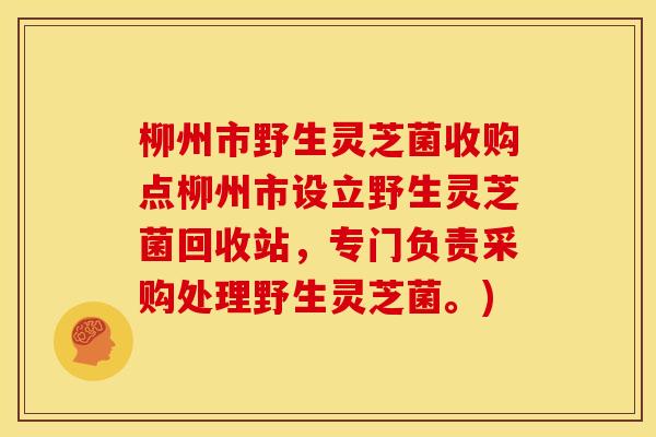 柳州市野生灵芝菌收购点柳州市设立野生灵芝菌回收站,专门负责采购处理野生灵芝菌。)