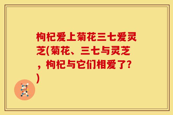 枸杞爱上菊花三七爱灵芝(菊花、三七与灵芝,枸杞与它们相爱了?)