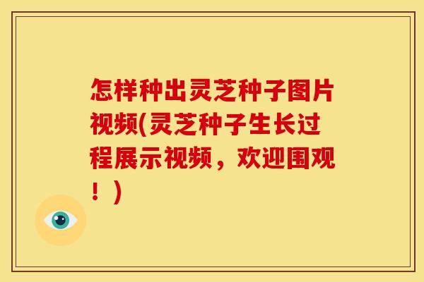 怎样种出灵芝种子图片视频(灵芝种子生长过程展示视频,欢迎围观!)