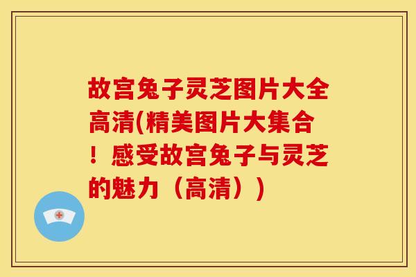 故宫兔子灵芝图片大全高清(精美图片大集合!感受故宫兔子与灵芝的魅力(高清))