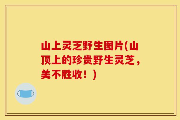 山上灵芝野生图片(山顶上的珍贵野生灵芝，美不胜收！)
