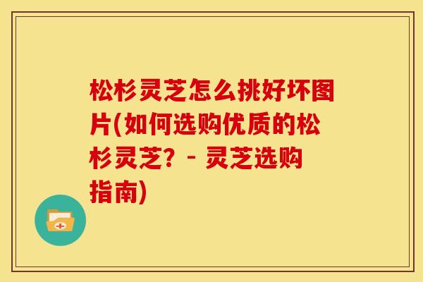 松杉灵芝怎么挑好坏图片(如何选购优质的松杉灵芝?- 灵芝选购指南)