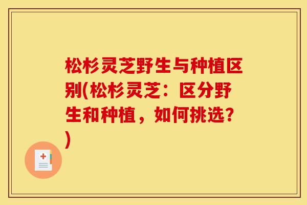 松杉灵芝野生与种植区别(松杉灵芝:区分野生和种植,如何挑选?)