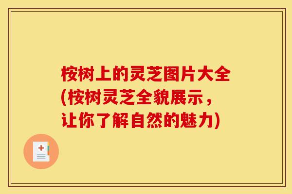 桉树上的灵芝图片大全(桉树灵芝全貌展示，让你了解自然的魅力)