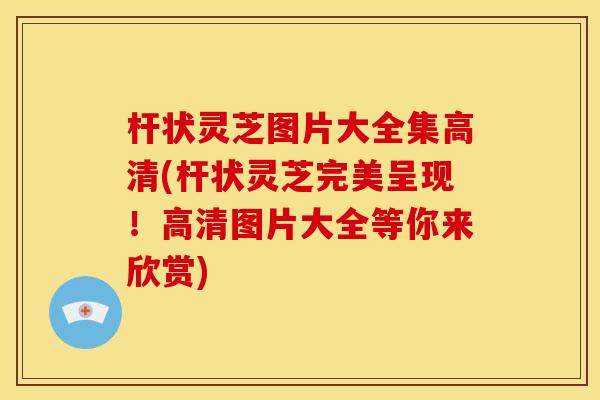 杆状灵芝图片大全集高清(杆状灵芝完美呈现!高清图片大全等你来欣赏)