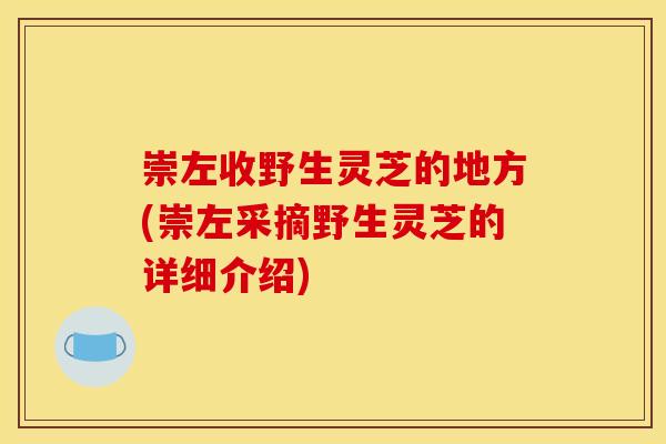 崇左收野生灵芝的地方(崇左采摘野生灵芝的详细介绍)