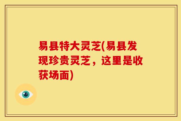 易县特大灵芝(易县发现珍贵灵芝,这里是收获场面)