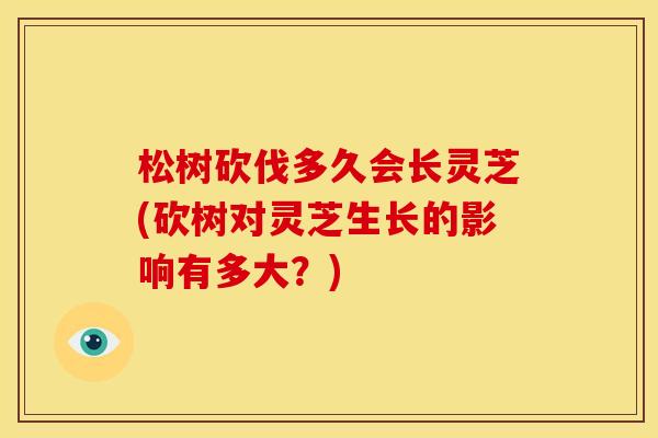 松树砍伐多久会长灵芝(砍树对灵芝生长的影响有多大?)