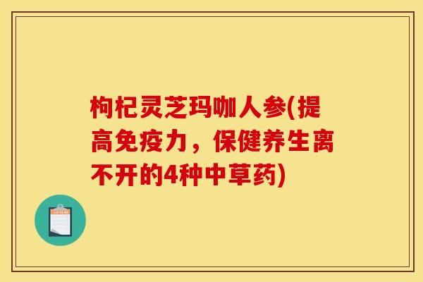 枸杞灵芝玛咖人参(提高免疫力,保健养生离不开的4种中草药)