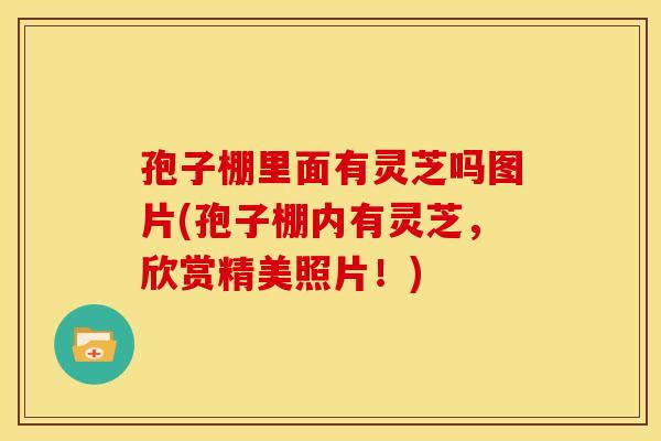 孢子棚里面有灵芝吗图片(孢子棚内有灵芝,欣赏精美照片!)
