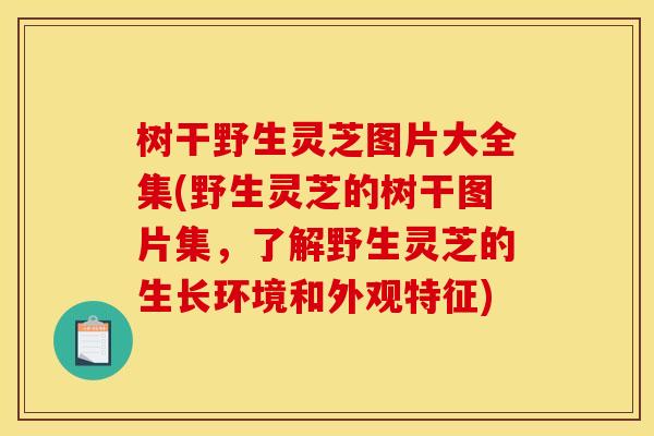 树干野生灵芝图片大全集(野生灵芝的树干图片集,了解野生灵芝的生长环境和外观特征)