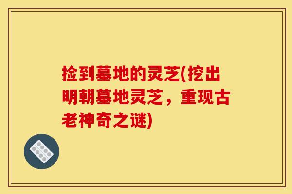 捡到墓地的灵芝(挖出明朝墓地灵芝,重现古老神奇之谜)