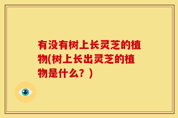 有没有树上长灵芝的植物(树上长出灵芝的植物是什么?)
