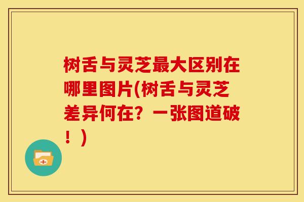 树舌与灵芝最大区别在哪里图片(树舌与灵芝差异何在？一张图道破！)