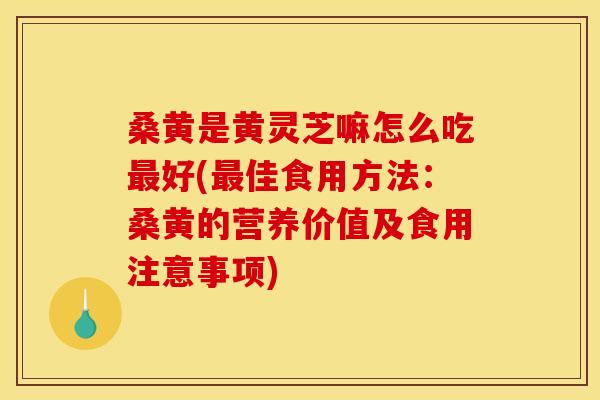 桑黄是黄灵芝嘛怎么吃最好(最佳食用方法：桑黄的营养价值及食用注意事项)