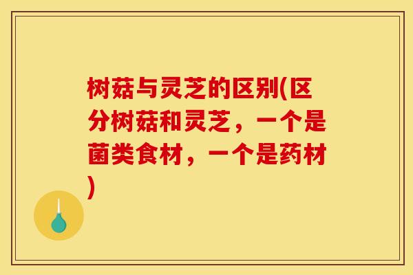 树菇与灵芝的区别(区分树菇和灵芝,一个是菌类食材,一个是药材)
