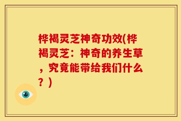 桦褐灵芝神奇功效(桦褐灵芝:神奇的养生草,究竟能带给我们什么?)