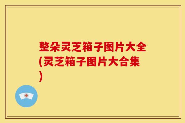 整朵灵芝箱子图片大全(灵芝箱子图片大合集)