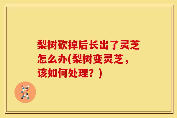 梨树砍掉后长出了灵芝怎么办(梨树变灵芝,该如何处理?)