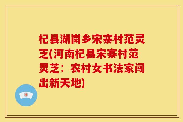 杞县湖岗乡宋寨村范灵芝(河南杞县宋寨村范灵芝：农村女书法家闯出新天地)