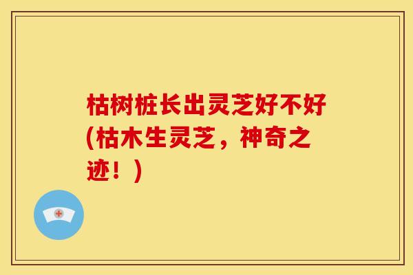 枯树桩长出灵芝好不好(枯木生灵芝,神奇之迹!)
