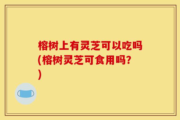 榕树上有灵芝可以吃吗(榕树灵芝可食用吗？)
