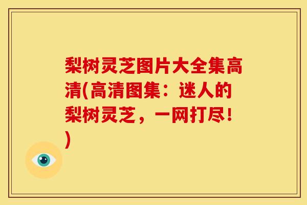 梨树灵芝图片大全集高清(高清图集:迷人的梨树灵芝,一网打尽!)