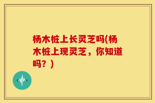 杨木桩上长灵芝吗(杨木桩上现灵芝,你知道吗?)