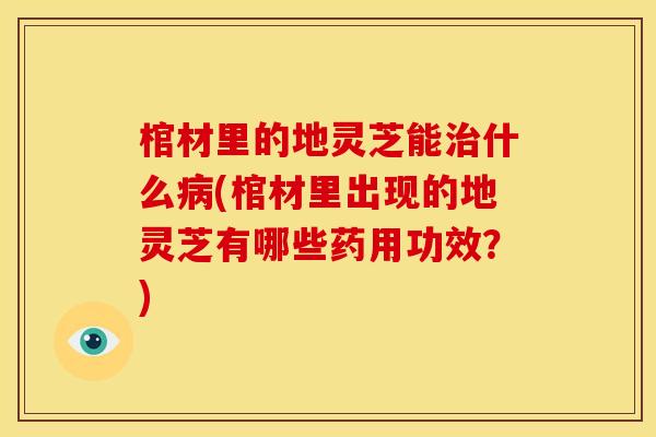 棺材里的地灵芝能治什么病(棺材里出现的地灵芝有哪些药用功效?)