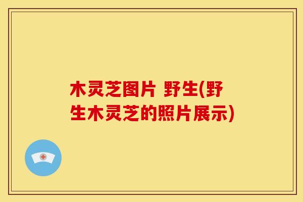 木灵芝图片 野生(野生木灵芝的照片展示)
