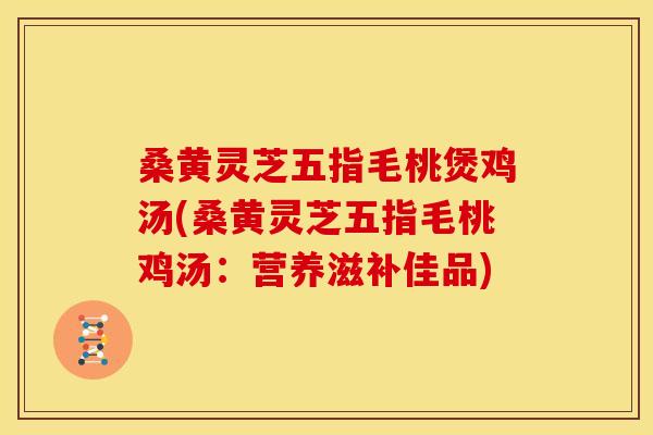 桑黄灵芝五指毛桃煲鸡汤(桑黄灵芝五指毛桃鸡汤:营养滋补佳品)