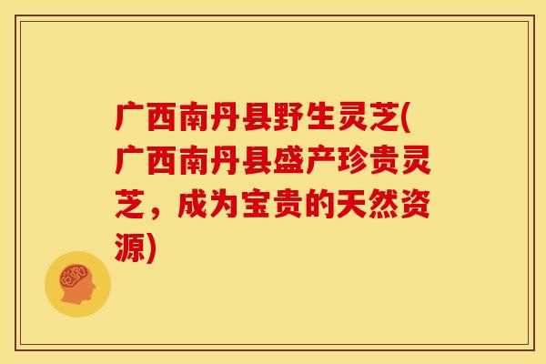 广西南丹县野生灵芝(广西南丹县盛产珍贵灵芝，成为宝贵的天然资源)