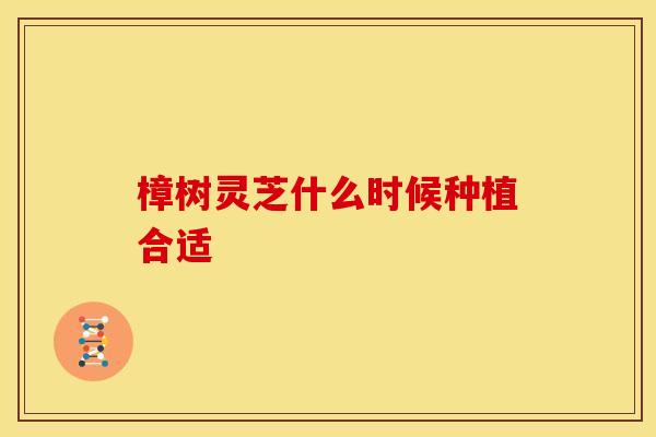 樟树灵芝什么时候种植合适