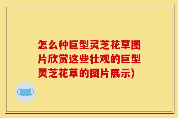 怎么种巨型灵芝花草图片欣赏这些壮观的巨型灵芝花草的图片展示)