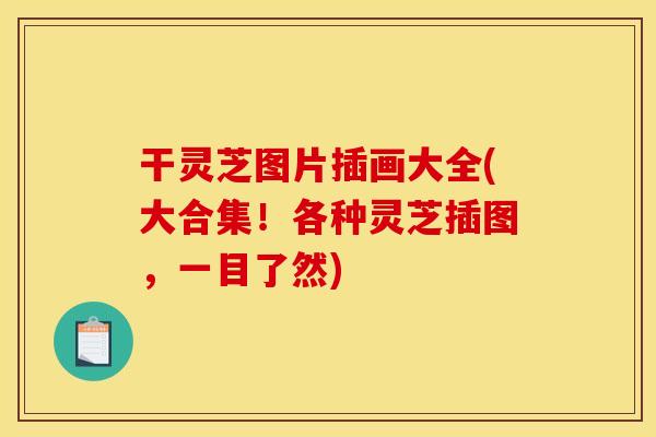 干灵芝图片插画大全(大合集!各种灵芝插图,一目了然)
