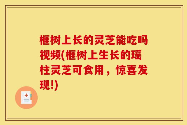 榧树上长的灵芝能吃吗视频(榧树上生长的瑶柱灵芝可食用，惊喜发现!)