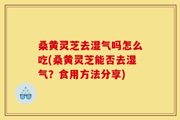 桑黄灵芝去湿气吗怎么吃(桑黄灵芝能否去湿气?食用方法分享)