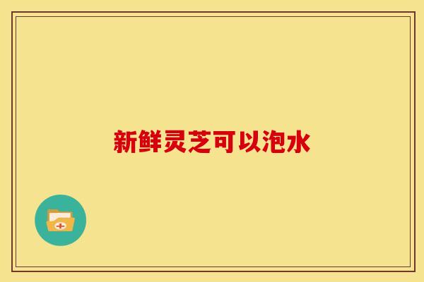 新鲜灵芝可以泡水