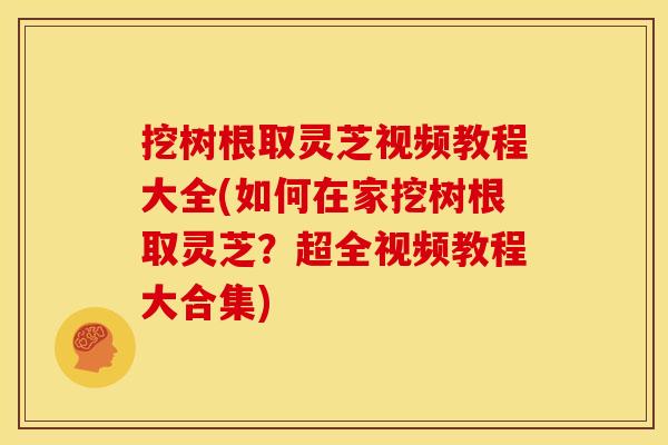 挖树根取灵芝视频教程大全(如何在家挖树根取灵芝？超全视频教程大合集)