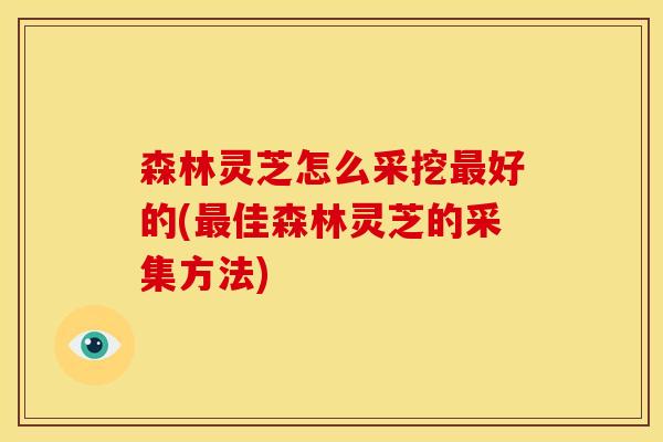 森林灵芝怎么采挖最好的(最佳森林灵芝的采集方法)